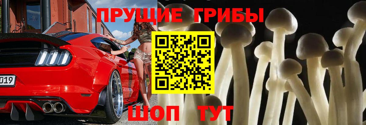 Галлюциногенные грибы Psilocybine cubensis  Вход с VPN  Серов 